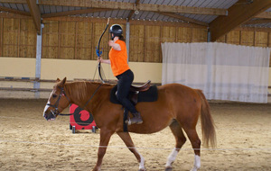 Cheval Arc - Chaville 2015