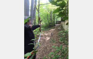 Regroupement débutant Viroflay 2017