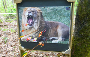 Résultats Nature Draveil L'Orme