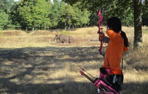 Concours Sully sur Loire