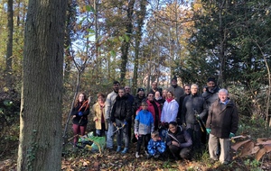 Débroussaillement du périmètre du terrain