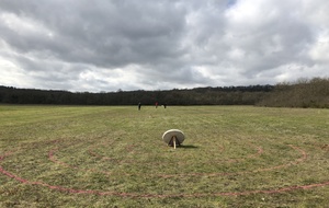 Tir au clout à Vayres sur Essonne 