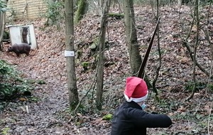 Inscription stage parcours Bois des Phénix