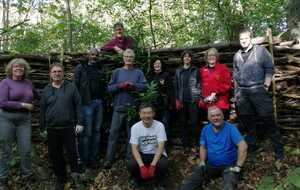 Travaux d'automne au Bois des Phénix