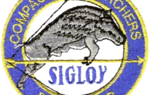 3D Sigloy