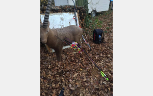 3D - Chateaudun (05/03/2017)