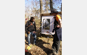 Nature - Draveil Sénart (21/04/18) CD 92