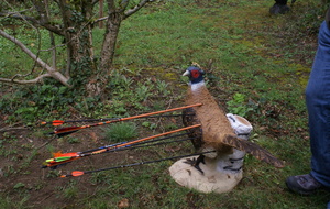 3D - Magny Les Hmx (10/06/18) - CD 78