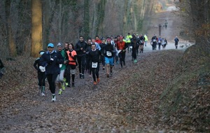 Séance sport santé