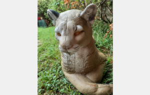 3D MAGNY LES HMX (12/06)