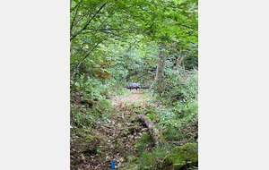 Olympiades du Phénix (24/06)