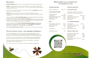 3D FESTIVAL (1 ET 2 JUILLET) L'ISLE ADAM