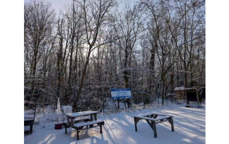 Bois des Phix en hiver