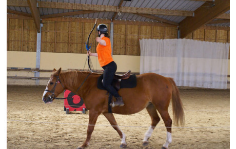 Cheval Arc - Chaville 2015