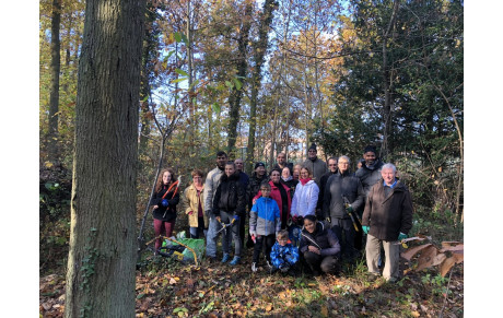 Débroussaillement du périmètre du terrain
