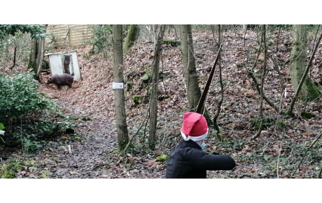 Inscription stage parcours Bois des Phénix