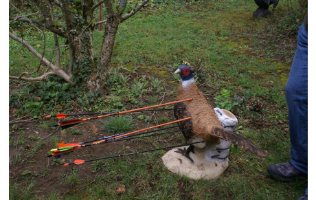 Stages 2022 sur notre terrain